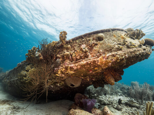 Curacao Tauchen Tugboat Beach