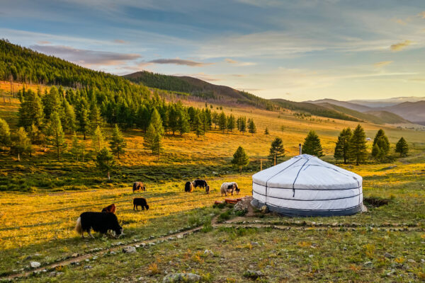 Mongolei Sonnenuntergang Dörfchen