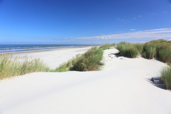 Niederlande Ameland Strand