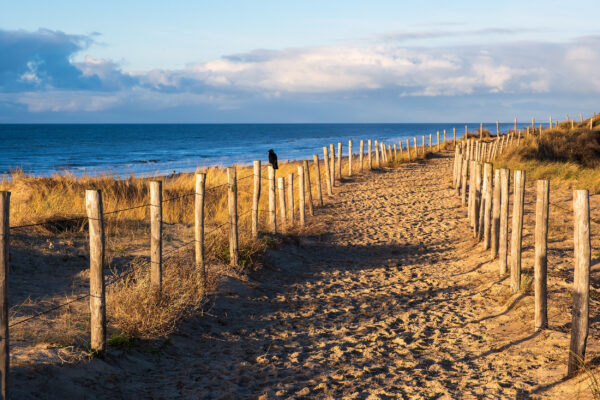 Niederlande Egmond Aan Zee Strand