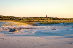 Die besten Tipps für die 18 schönsten Strände in Holland