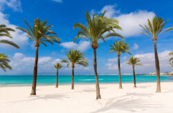 Mallorca Traum: 5 Tage ins 4* Hotel mit Frühstück & Flug nur 282€