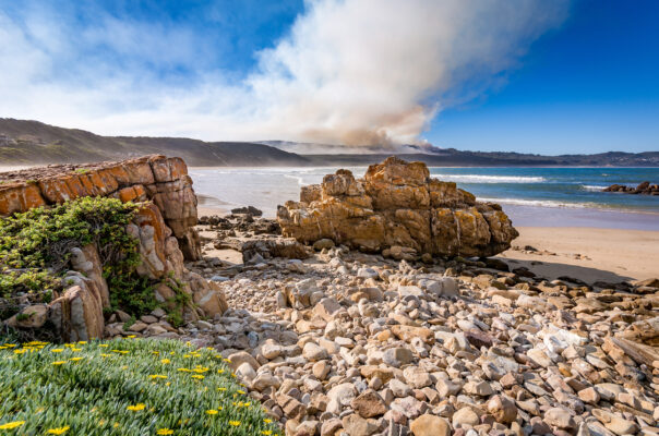 Südafrika Buffalo Bay