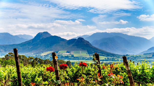 Südafrika Franschhoek Winelands