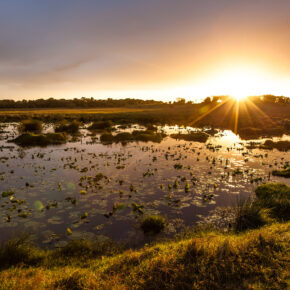 Südafrika Isimangaliso Wetland