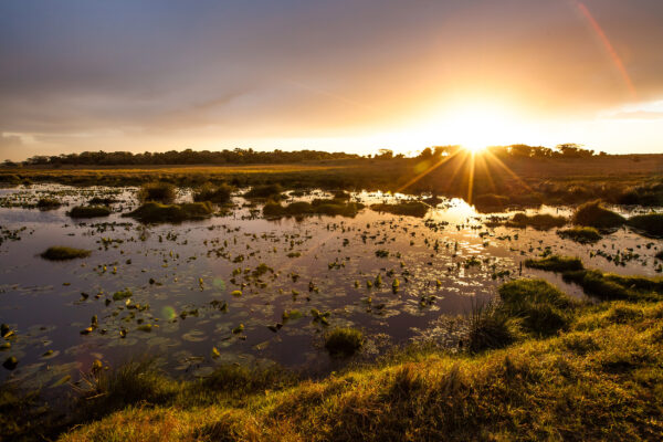 Südafrika Isimangaliso Wetland