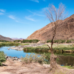 Südafrika Richtersveld Transfrontier Park