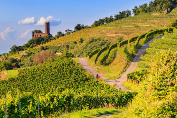 Deutschland Badische Weinstrasse