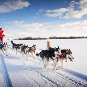 Lappland: 8 Tage inkl. 3* oder 4* Hotel, Huskysafari, Schneewanderung, SnowVillage & Frühstück für 1499€