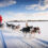 Lappland: 8 Tage inkl. 3* oder 4* Hotel, Huskysafari, Schneewanderung, SnowVillage & Frühstück für 1299€
