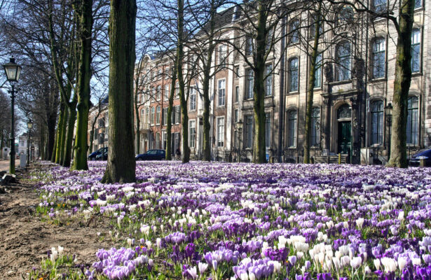 Niederlande Den Haag Lange Voorhout