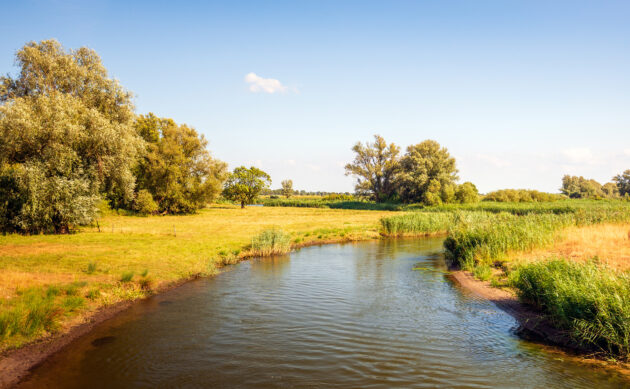 Niederlande Nationalpark de Biesbosch