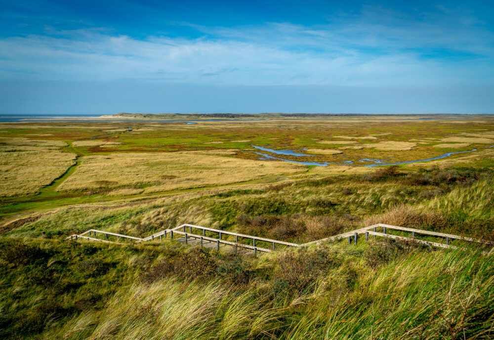 Niederlande Texel Slufter Naturgebiet