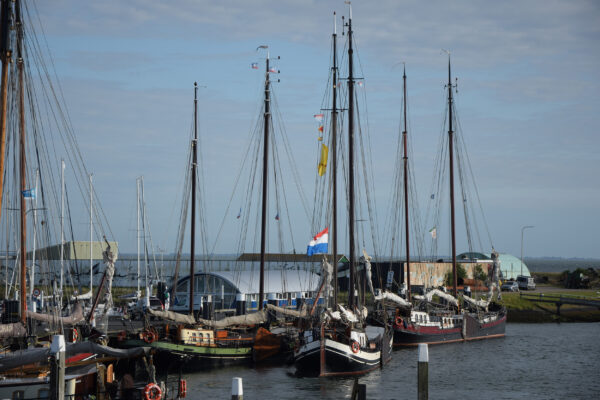 Niederlande Texel Oudeschild Hafen