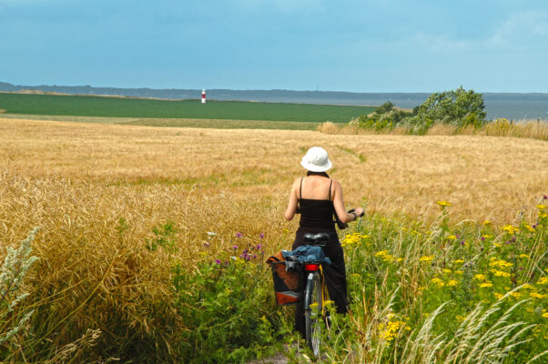 Schweden Insel Ven Fahrradtour