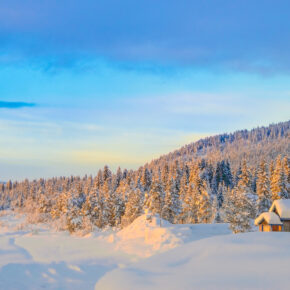 Lappland: 8 Tage im eigenen Ferienhaus mit Sauna & Direktflügen nur 329€