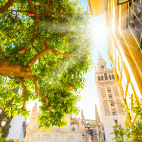 Kurztrip nach Andalusien: 4 Tage Sevilla im tollen Hostel inkl. Flug nur 83€