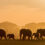 Abenteuer Südafrika: 14 Tage Roadtrip mit Flug & Mietwagen nur 358€