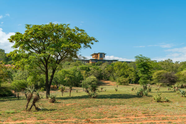 Südafrika Pretoria National Botanical Garden