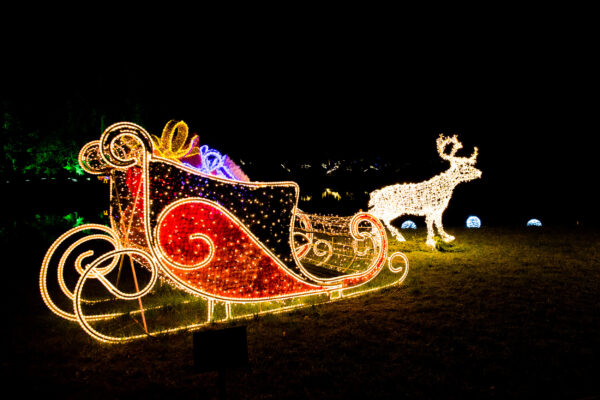 Deutschland Berlin Christmas Garden