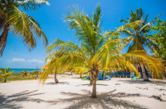 Kuba: 10 Tage Varadero im TOP 4* Iberostar Hotel mit All Inclusive, Flug & Transfer nur ...