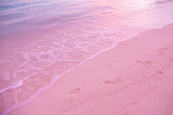 bahamas pink sands beach