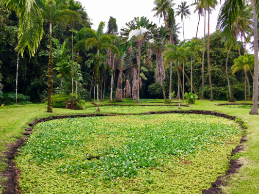 Tahiti Botanischer Garten