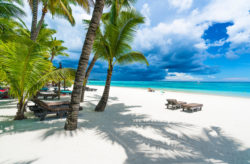 Traumreise nach Mauritius: 8 Tage im 5* Hotel inkl. Halbpension, Flug & Transfer