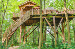 Ab in die Natur: 3 Tage im Baumhaus in Frankreich mit privatem Whirlpool & Frühstück für...