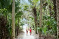 Geschützt: Traumurlaub in Florida: Hin- und Rückflüge nach Fort Myers nur 519€