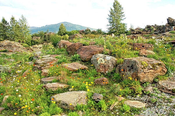 Norwegen Tromso Botanischer Garten