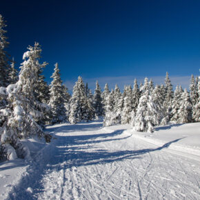 Winterurlaub in Slowenien: 4 Tage im sehr guten 4* Hotel direkt an der Skipiste inkl. Frühstück nur 184€