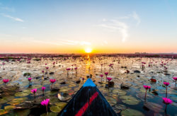 13 Tage Thailand: Hin- und Rückflug zum Red Lotus Lake nur 349€