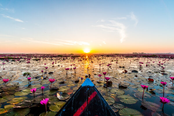 Thailand Udon Thani Red Lotus Lake