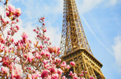Wochenendtrip in Paris: 2 Tage im TOP 4* Hotel inkl. Frühstück nur 73€