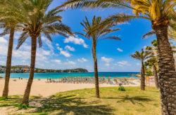 Trauminsel Mallorca: 9 Tage im guten 4* Hotel mit Frühstück & Flug nur 299€