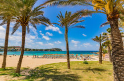 Mallorca: 8 Tage im guten 3* Hotel inkl. Frühstück & Flug nur 303€