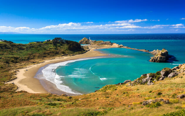 Neuseeland North Island Castlepoint Leuchtturm