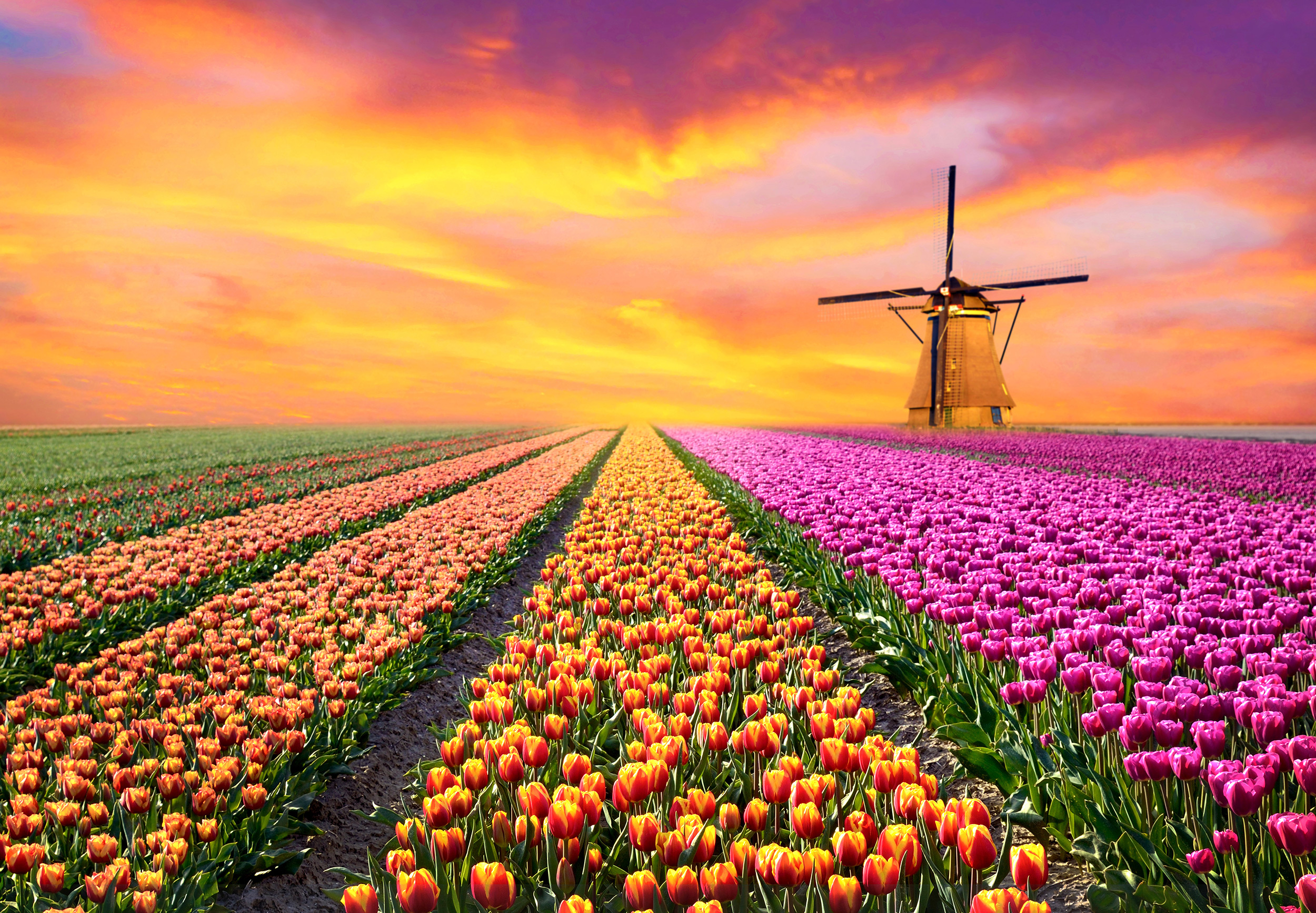 Beste reisezeit holland niederlande inkl klimatabellen