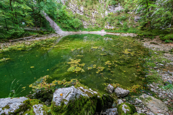 Slowenien Divje Jezero