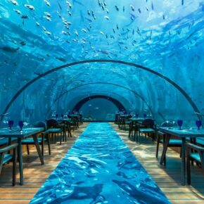 Luxus pur: 10 Tage Malediven im TOP 5* Resort inkl. Ocean Villa, Halbpension, Flug, Transfer & Zug für 3847€