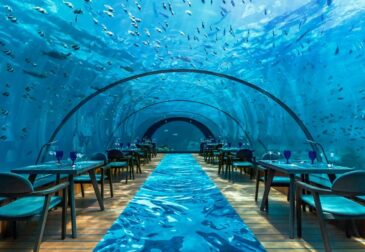 Luxus pur: 10 Tage Malediven im TOP 5* Resort inkl. Ocean Villa, Halbpension, Flug, Transfer ...