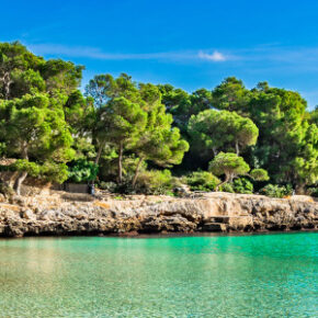 Cluburlaub auf Mallorca – Zwischen Tapas und Traumbuchten