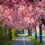 Kirschblüte in Deutschland: Top 10 der schönsten Orte für Hanami