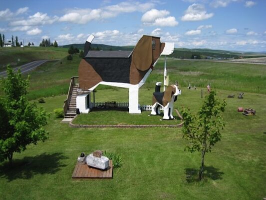 Beagle USA BnB