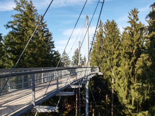 Deutschland Bodensee Baumwipfelpfad