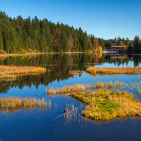 Deutschland: Die Top 10 der schönsten Nationalparks