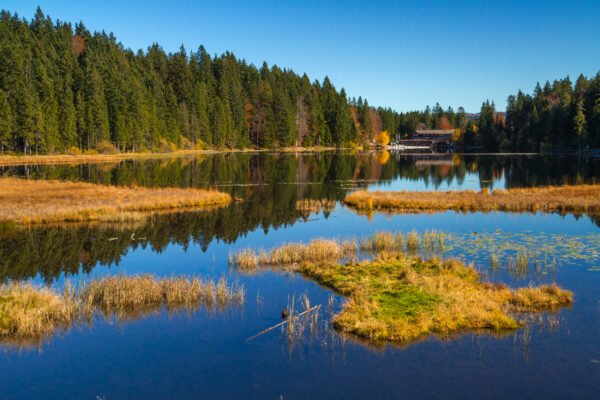 Bayerischer Wald Urlaub: Großer Arbersee