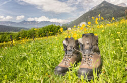 7-tägige Wanderreise von Deutschland über Österreich nach Südtirol inkl. Übernachtung, Frühst...