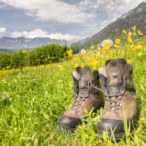 7-tägige Wanderreise von Deutschland über Österreich nach Südtirol inkl. Übernachtung, Frühstück & mehr ab 729€